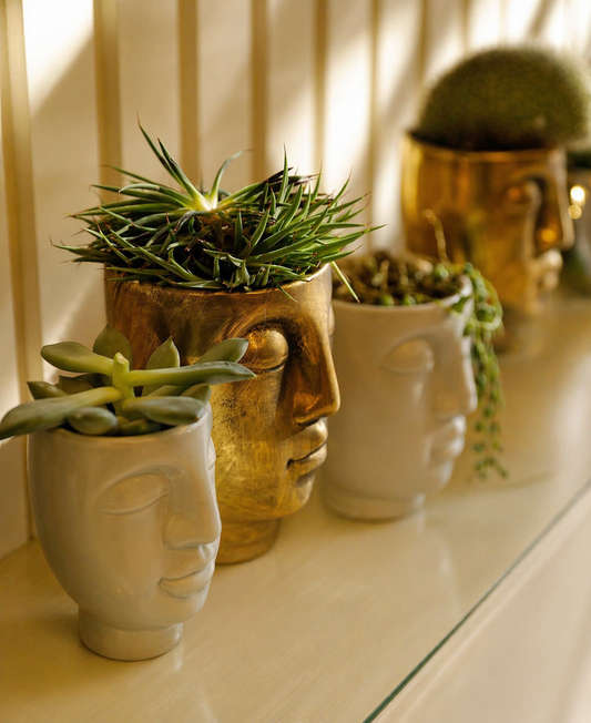 Face Planter Pots Set of 7